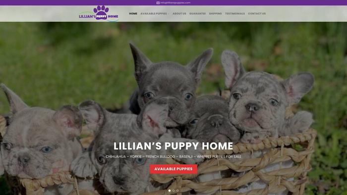 Lillianspuppies.com - French Bulldog Puppy Scam Review