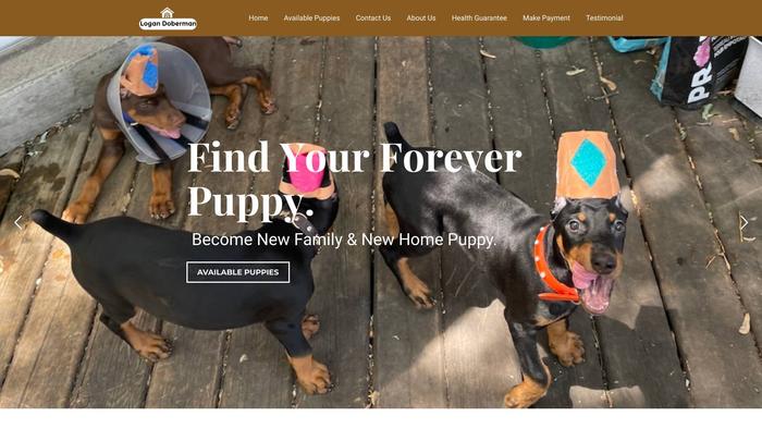 Logandoberman.com - Doberman Pinscher Puppy Scam Review