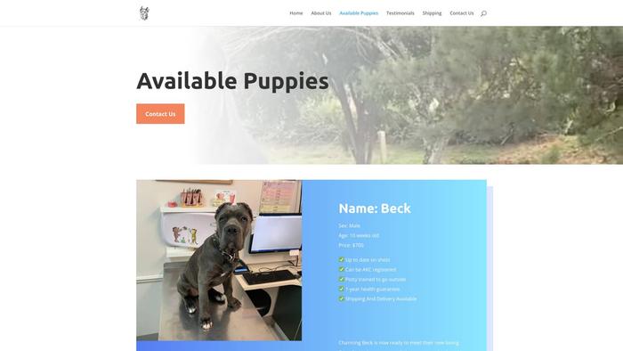 Lorrainecanecorsohome.com - Cane Corso Puppy Scam Review