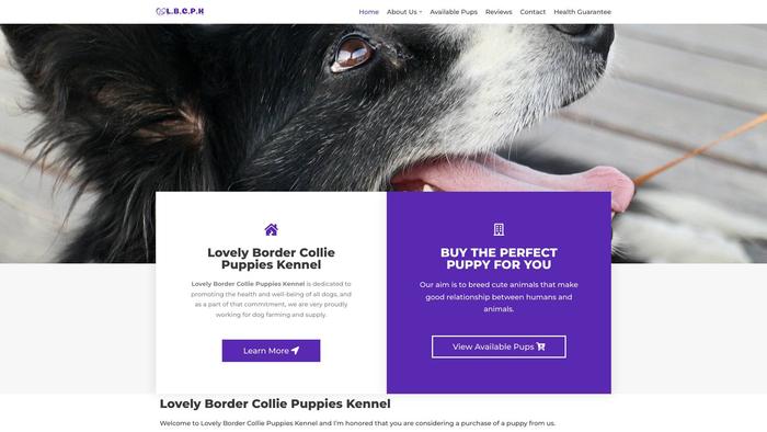 Lovelybordercolliepupskennel.com - Bordercollie Puppy Scam Review