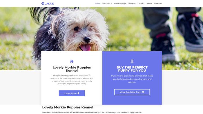 Lovelymorkiepuppieskennel.com - Yorkshire Terrier Puppy Scam Review