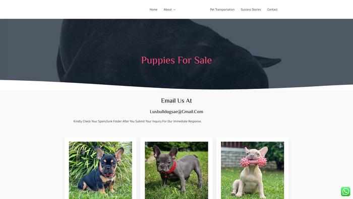 Luxbulldogs-ae.com - Bulldog Puppy Scam Review