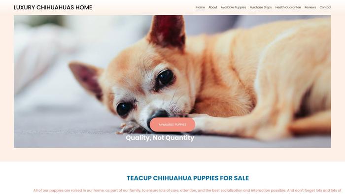 Luxurychihuahuapuppies.com - Chihuahua Puppy Scam Review