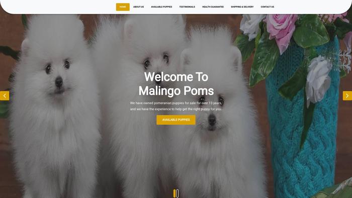 Malingopoms.com - Pomeranian Puppy Scam Review