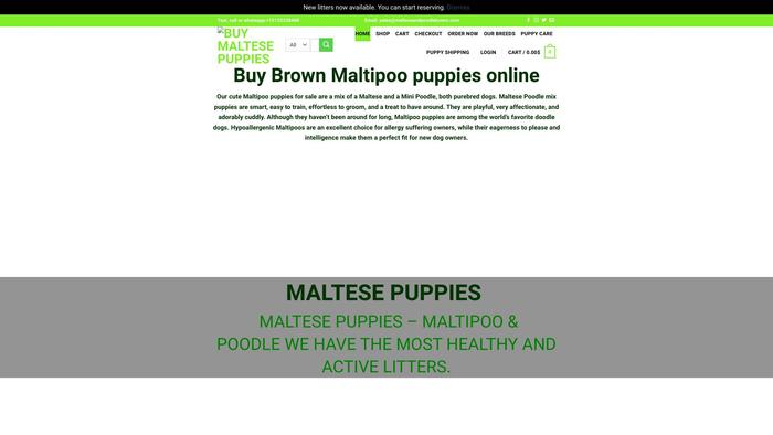 Malteseandpoodlelovers.com - Maltese Puppy Scam Review