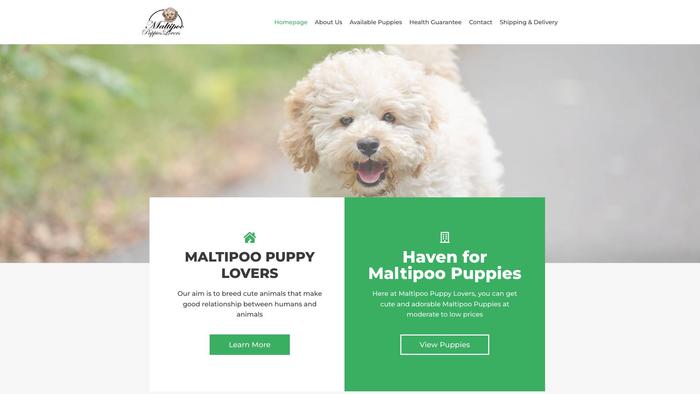 Maltipoopuppylovers.com - Maltipoo Puppy Scam Review