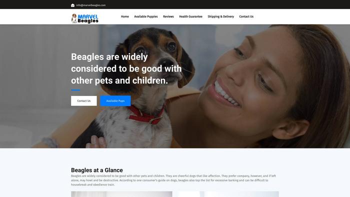 Marvelbeagles.com - Beagle Puppy Scam Review