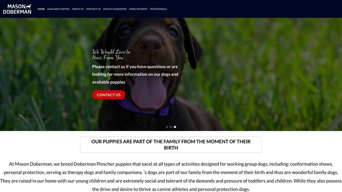 Masondoberman.com - Doberman Pinscher Puppy Scam Review