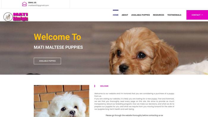 Matimaltesepuppies.com - Maltese Puppy Scam Review