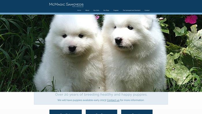 Mcmagicsamoyeds.com - Samoyed Puppy Scam Review