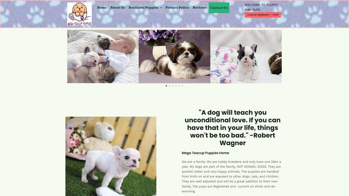 Megateacuppuppies.com - Yorkshire Terrier Puppy Scam Review