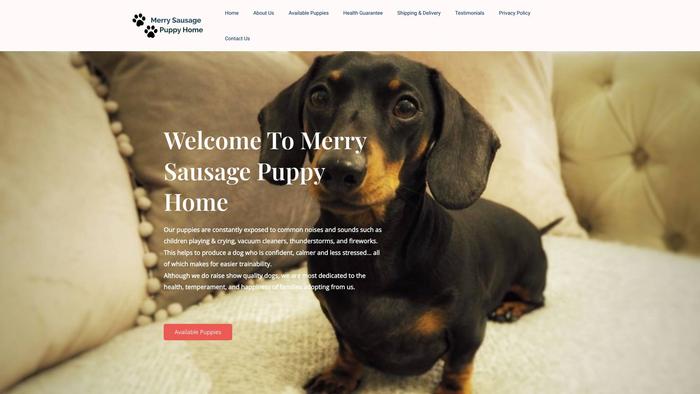 Merrysausagepuppyhome.com - Dachshund Puppy Scam Review