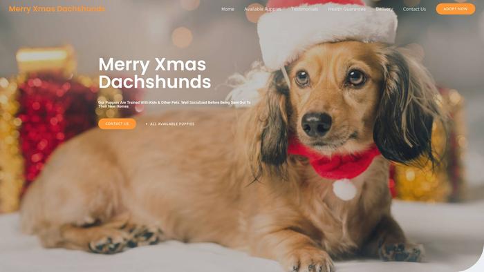 Merryxmasdachshunds.com - Dachshund Puppy Scam Review