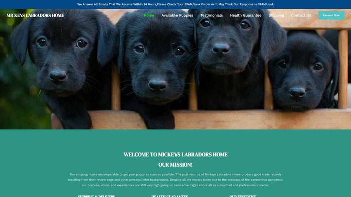 Mickeyslabradorshome.com - Labrador Puppy Scam Review