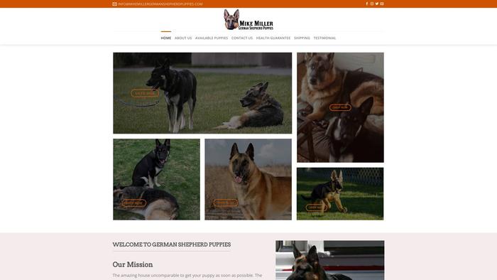 Mikemillergermanshepherdpuppies.com - Germanshepherd Puppy Scam Review