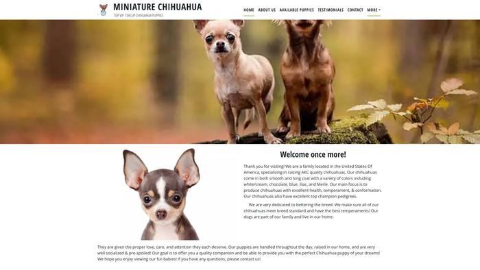 Miniaturechihuahuahome.com - Chihuahua Puppy Scam Review