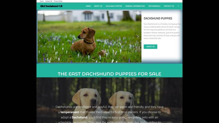 Minidachshundandmore.com - Dachshund Puppy Scam Review