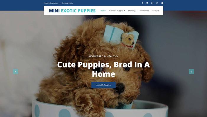 Miniexoticpuppies.com - Yorkshire Terrier Puppy Scam Review