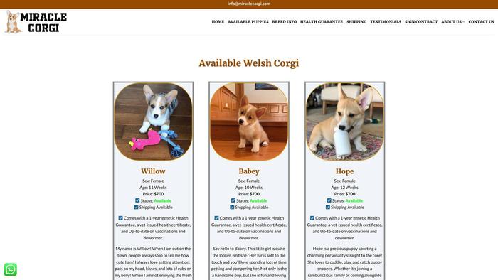 Miraclecorgi.com - Corgi Puppy Scam Review