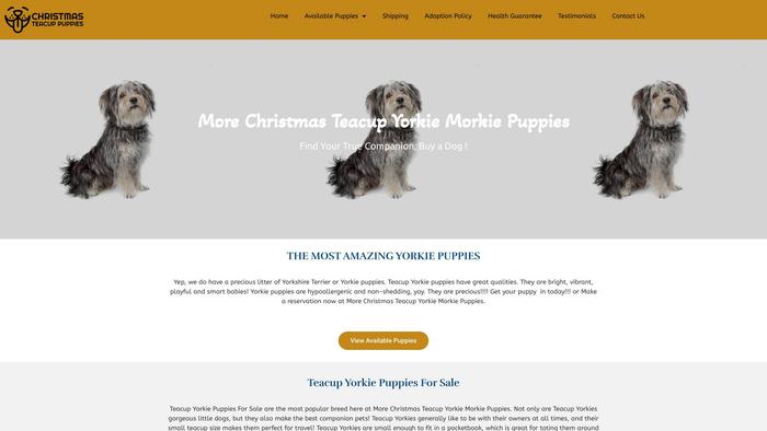 Morechristmasteacupyorkiemorkiepuppies.com - Yorkshire Terrier Puppy Scam Review