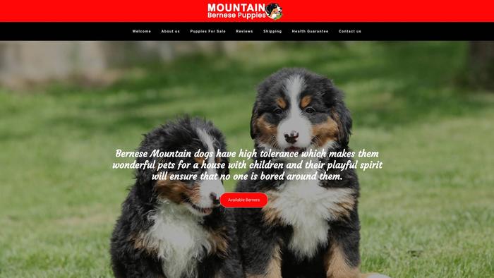 Mountainbernesepuppies.com - Bernese Mountain Dog Puppy Scam Review