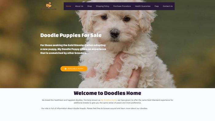 Mydoodleshome.com - Labradoodle Puppy Scam Review