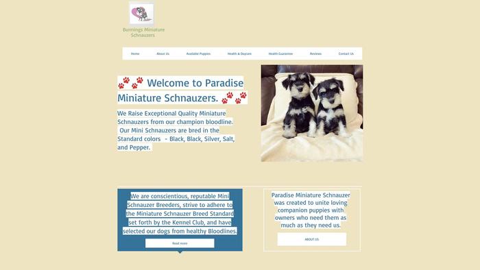 Paradiseminischnauzer.online - Schnauzer Puppy Scam Review