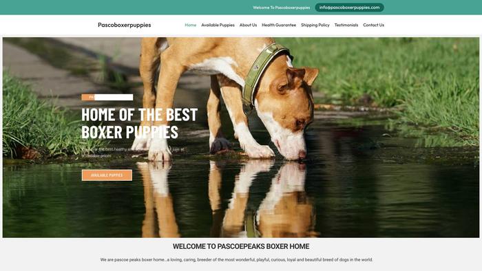 Pascoboxerpuppies.com - Boxer Puppy Scam Review