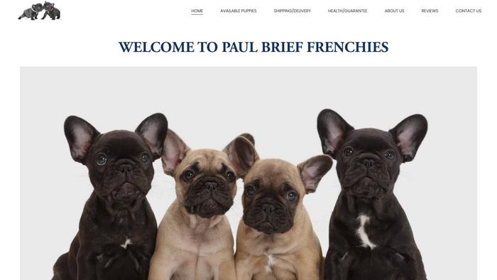 Paulbrieffenchies.com - French Bulldog Puppy Scam Review