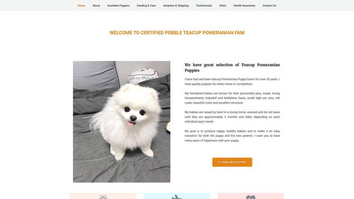 Pebbleteacuppom.com - Yorkshire Terrier Puppy Scam Review