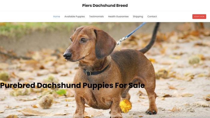 Piersdachshundbreed.com - Dachshund Puppy Scam Review