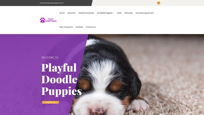 Playfuldoodlepuppies.com - Labradoodle Puppy Scam Review