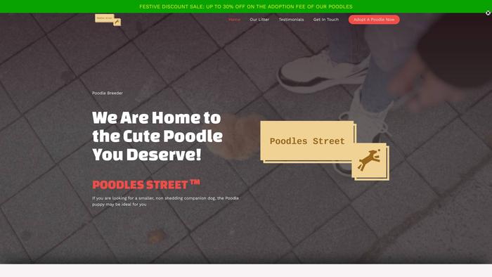 Poodlesstreet.com - Poodle Puppy Scam Review