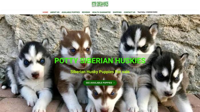 Pottysiberianhuskies.com - Husky Puppy Scam Review