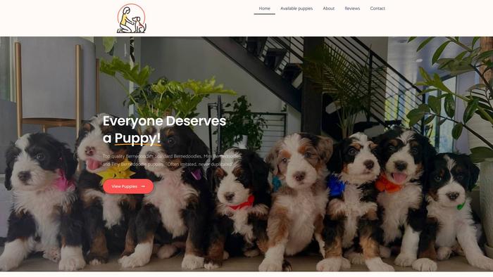 Premiumchoicebernedoodles.com - Bernedoodle Puppy Scam Review