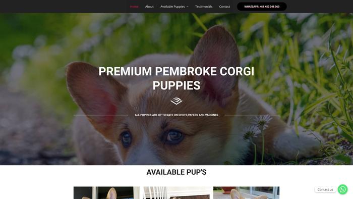 Premiumpembrokecorgipuppies.com - Corgi Puppy Scam Review