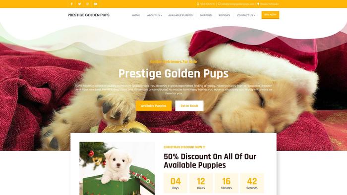 Prestigegoldenpups.com - Golden Doodle Puppy Scam Review