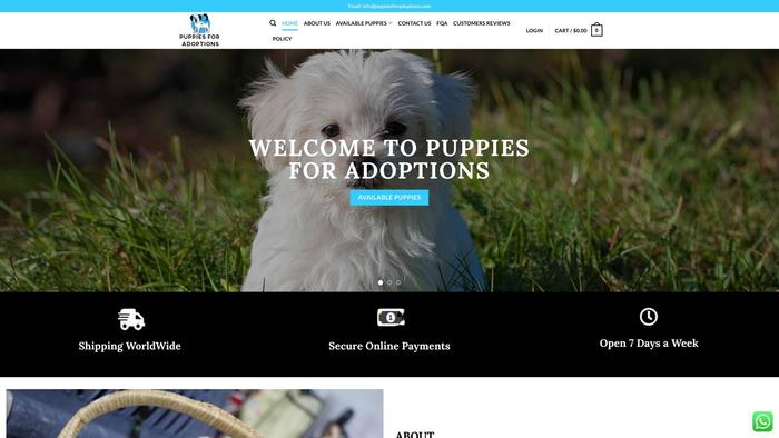 Puppiesforadoptions.com - Maltese Puppy Scam Review