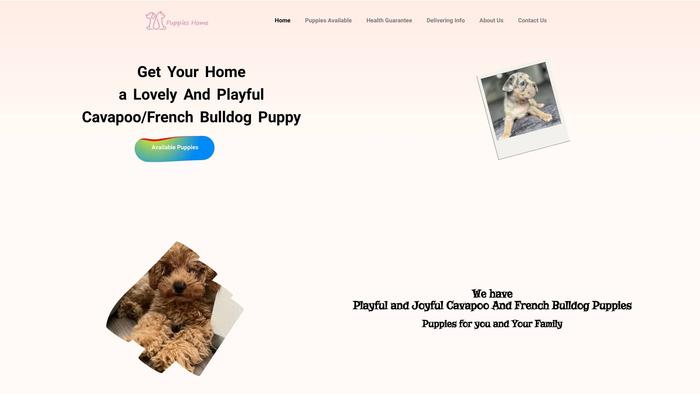 Puppieshome.co.uk - French Bulldog Puppy Scam Review