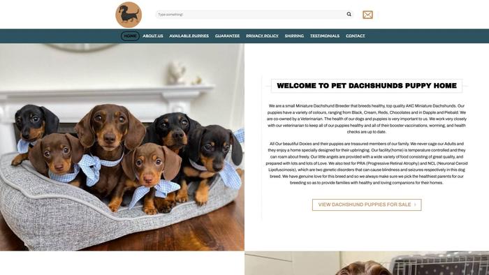 Purebreddachshund.com - Dachshund Puppy Scam Review