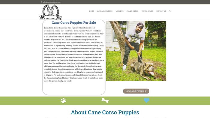 Quenscanecorso.com - Cane Corso Puppy Scam Review