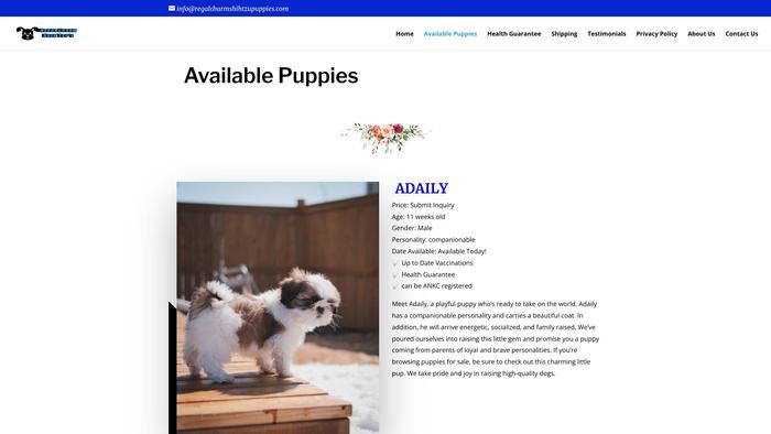 Regalcharmshihtzupuppies.com - Shihtzu Puppy Scam Review