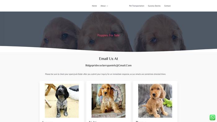 Ridgepridespaniels.com - Spaniel Puppy Scam Review