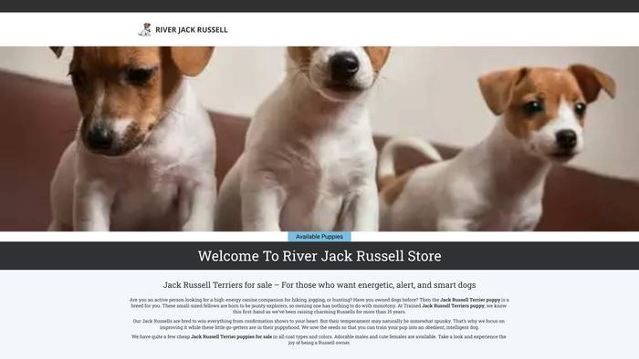 Riverjackrussell.store - Jack Russell Terrier Puppy Scam Review