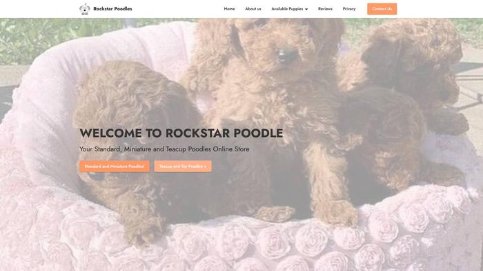 Rockstarpoodlehome.com - Poodle Puppy Scam Review