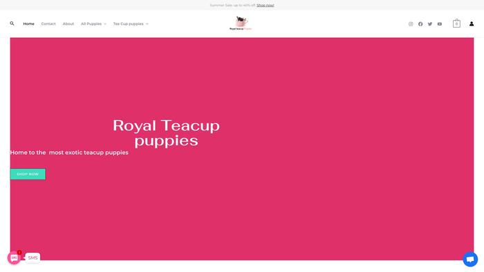 Royalsteascuppuppies.com - Yorkshire Terrier Puppy Scam Review