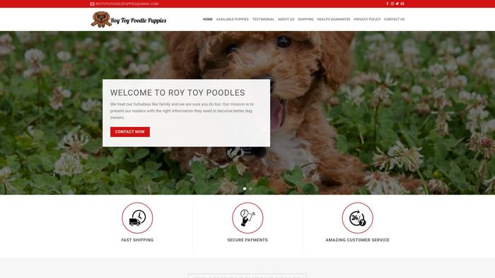 Roytoypoodlepuppies.com - Poodle Puppy Scam Review