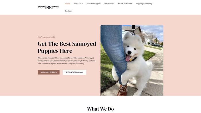 Samoyedpuppiesforsalez.com - Samoyed Puppy Scam Review