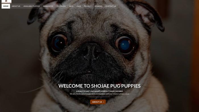 Shojaelpugpuppies.com - Pug Puppy Scam Review