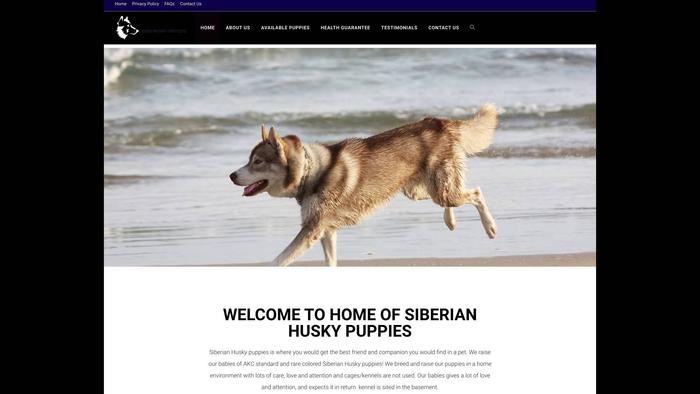 Siberianhusky-puppydogs.com - Husky Puppy Scam Review